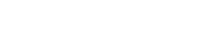 Bluewey Studio